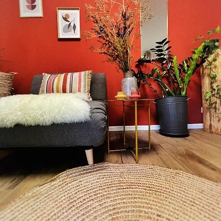 #outofboxproject Tiny-home And Garden House * Timisoara