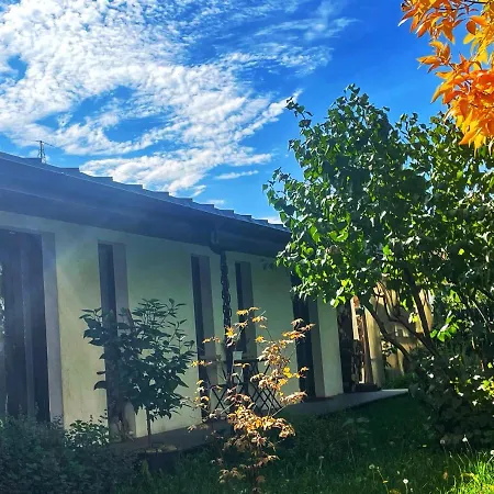 #outofboxproject Tiny-home And Garden House *