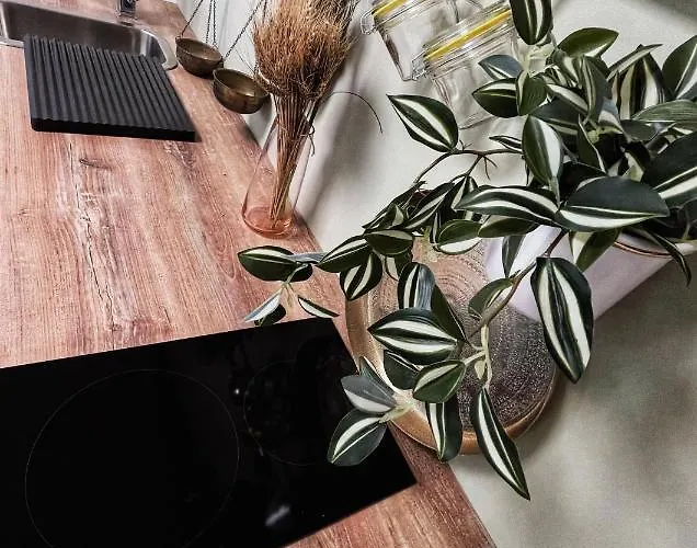 #outofboxproject Tiny-home And Garden House Chalé Timişoara