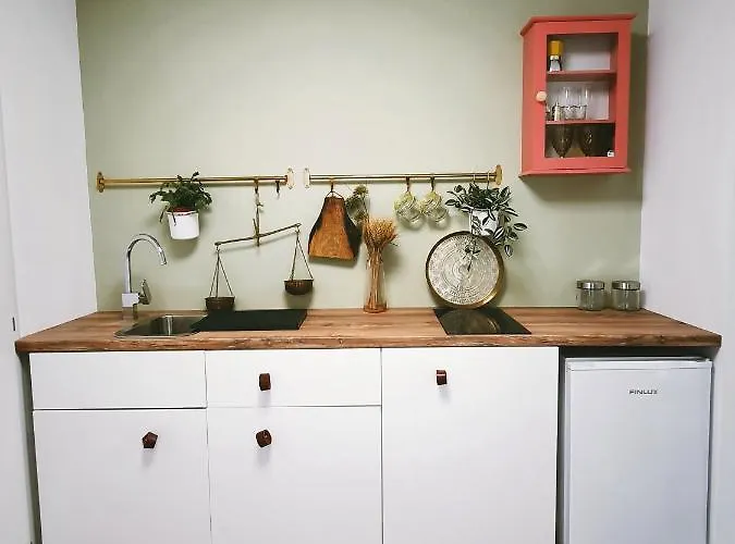 בקתה #outofboxproject Tiny-home And Garden House טימישוארה