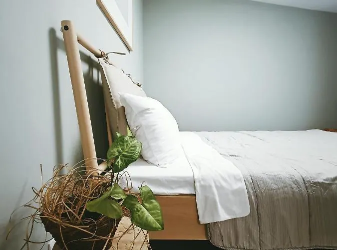 #outofboxproject Tiny-home And Garden House טימישוארה