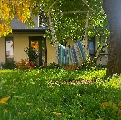 #outofboxproject Tiny-home And Garden House Chalé Timişoara