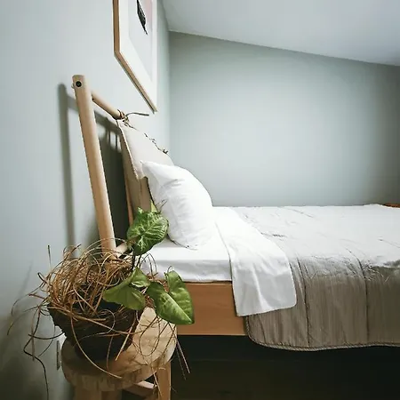 #outofboxproject Tiny-home And Garden House טימישוארה